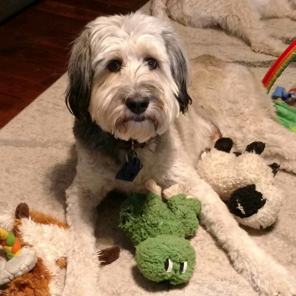 Meet your Posher, Laura